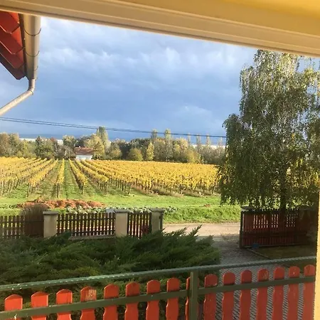 Napfényvilla